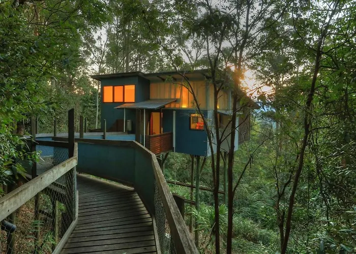 Lyola Pavilions In The Forest