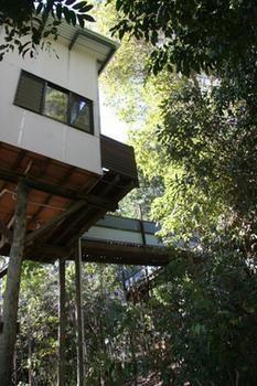 Lyola Pavilions In The Forest