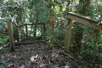 Lyola Pavilions In The Forest Maleny